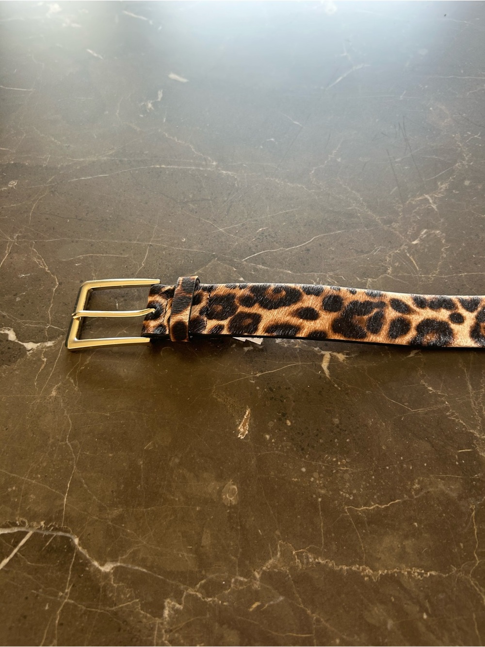White House Black Market Leopard Print Belt with Gold Buckle

New With Tags